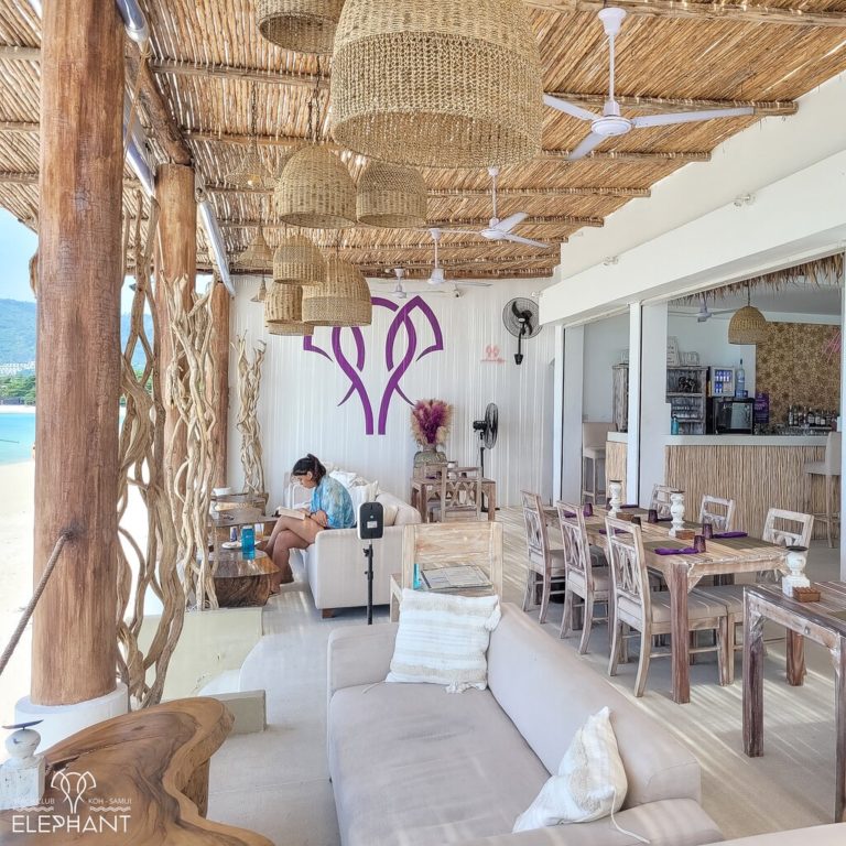 the newly renovated jan