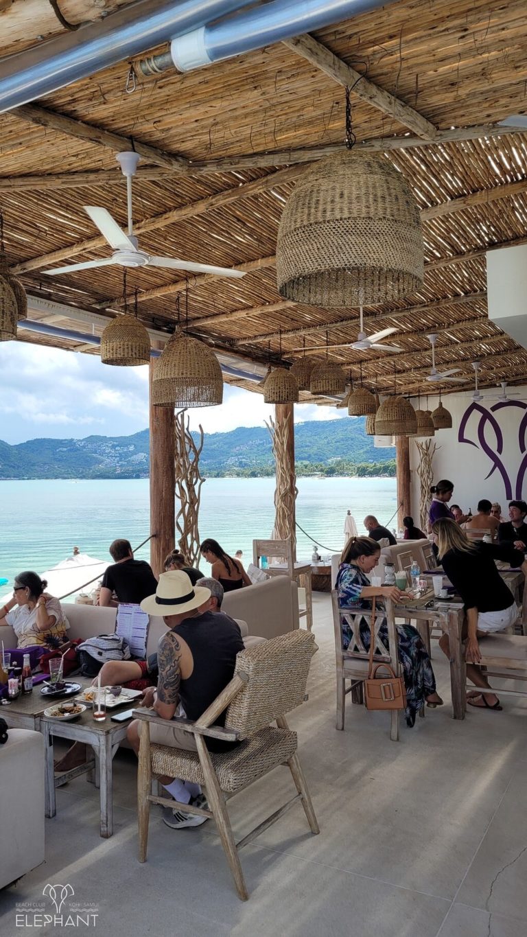 the newly renovated jan