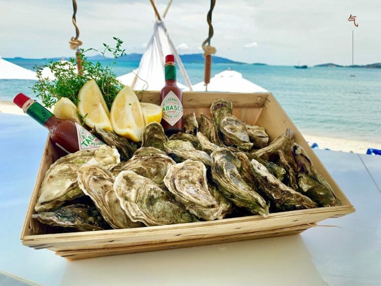 fresh oysters 1 768x576