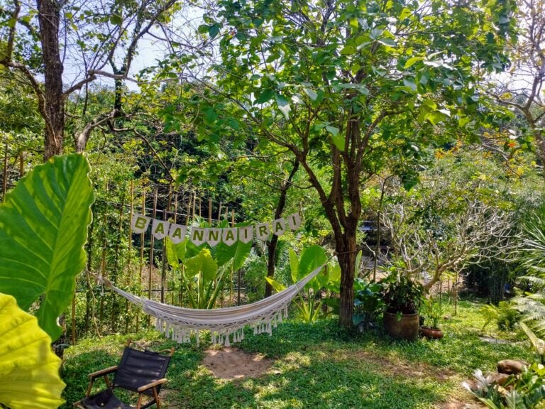 IMG 20240203 131814 768x576