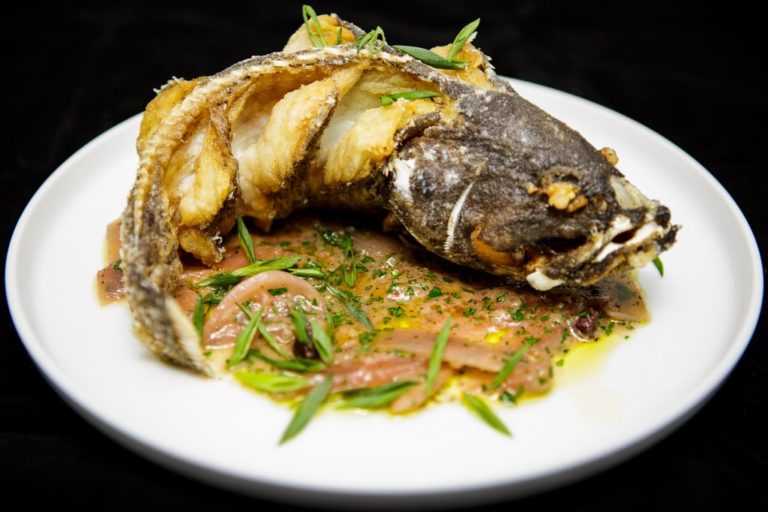 special fish of the day 1 768x512