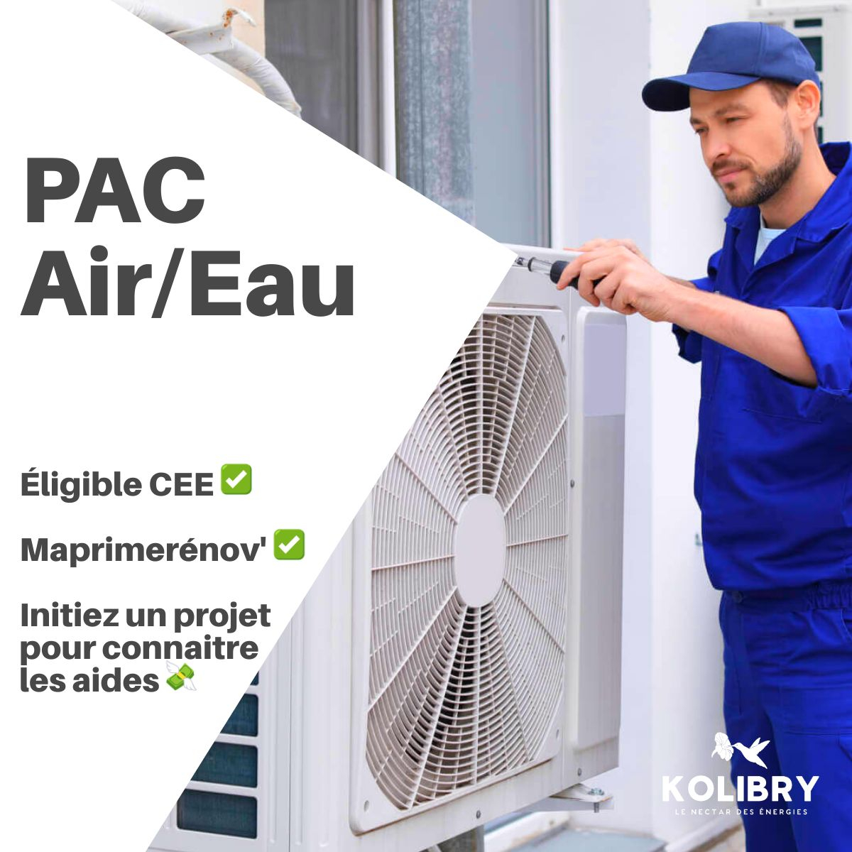 KOLIBRY-1200×1200-layout229-1f89ch6 img-1