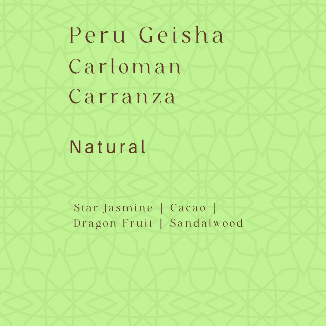 秘魯藝伎（ Peru Geisha - Carloman Carranza ）