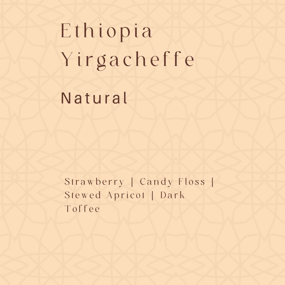 埃塞俄比亞耶加雪菲（ Ethiopia - Yirgacheffe ）