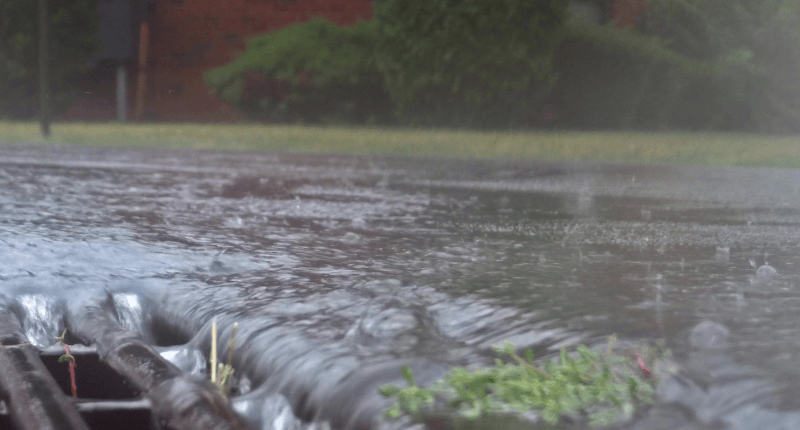 Drain Maintenance in Kingston Upon Thames e1737024837440