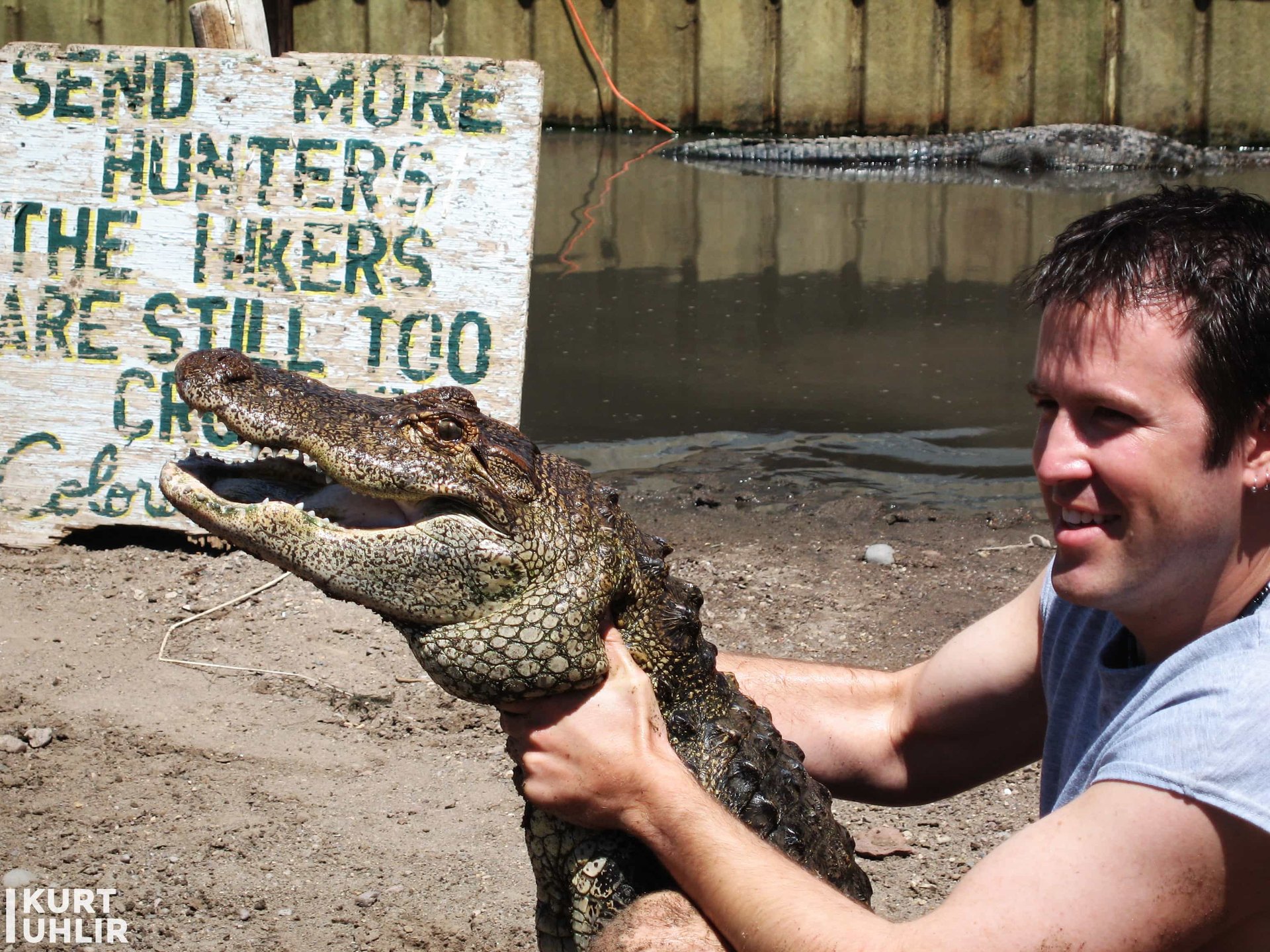 Kurt Uhlir handling a mid-sized alligator Kurt Uhlir handling a mid-sized alligator