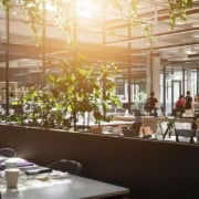 Modern open office with team collaborating and sunlight.