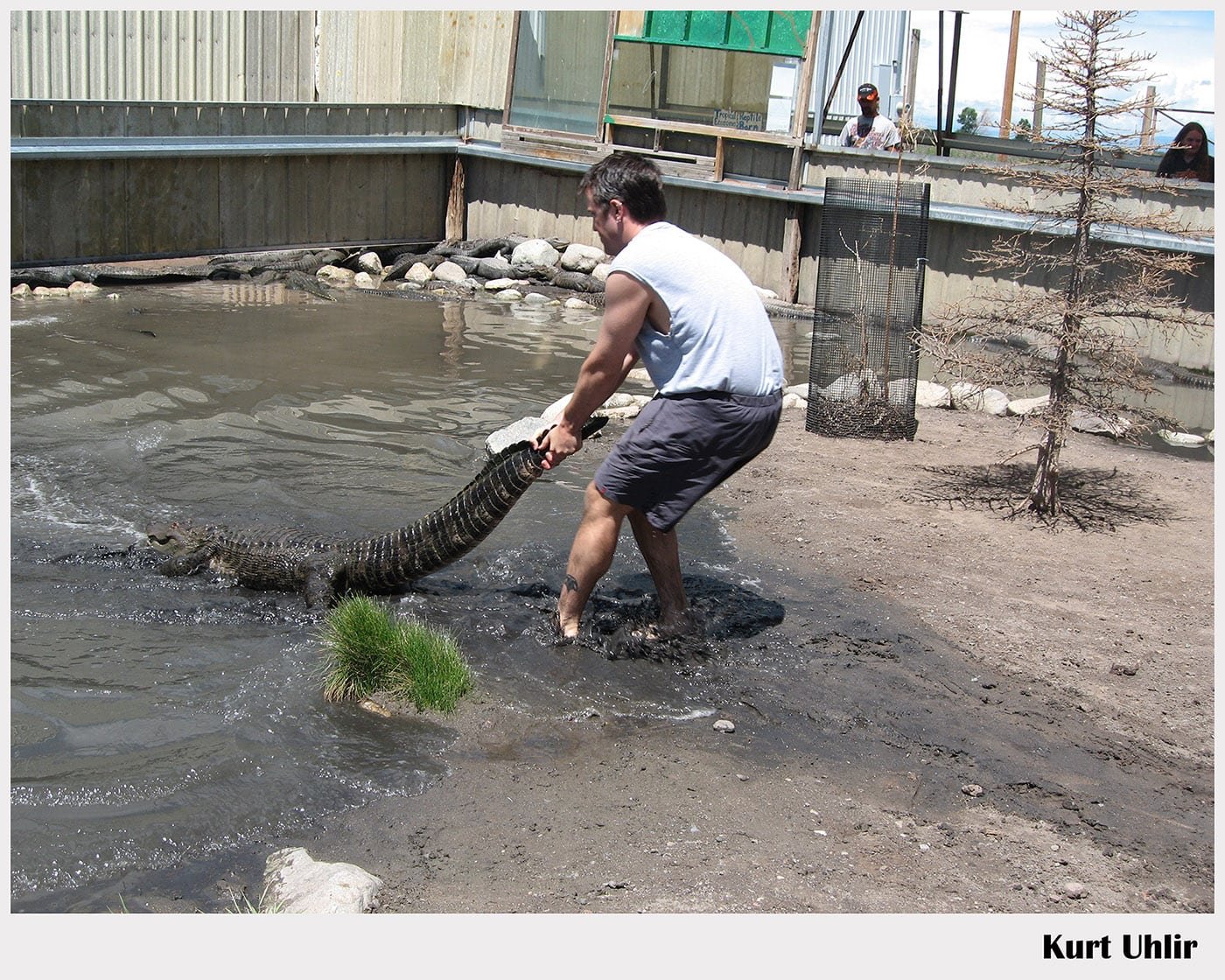 Kurt Uhlir - Stuntman Action Headshot Kurt Uhlir - alligator handling - stunts