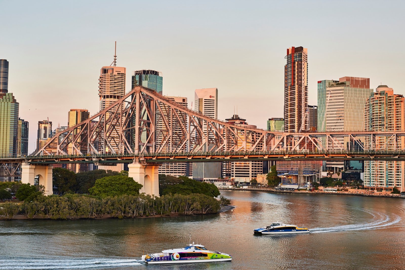 Brisbane_River_Cat