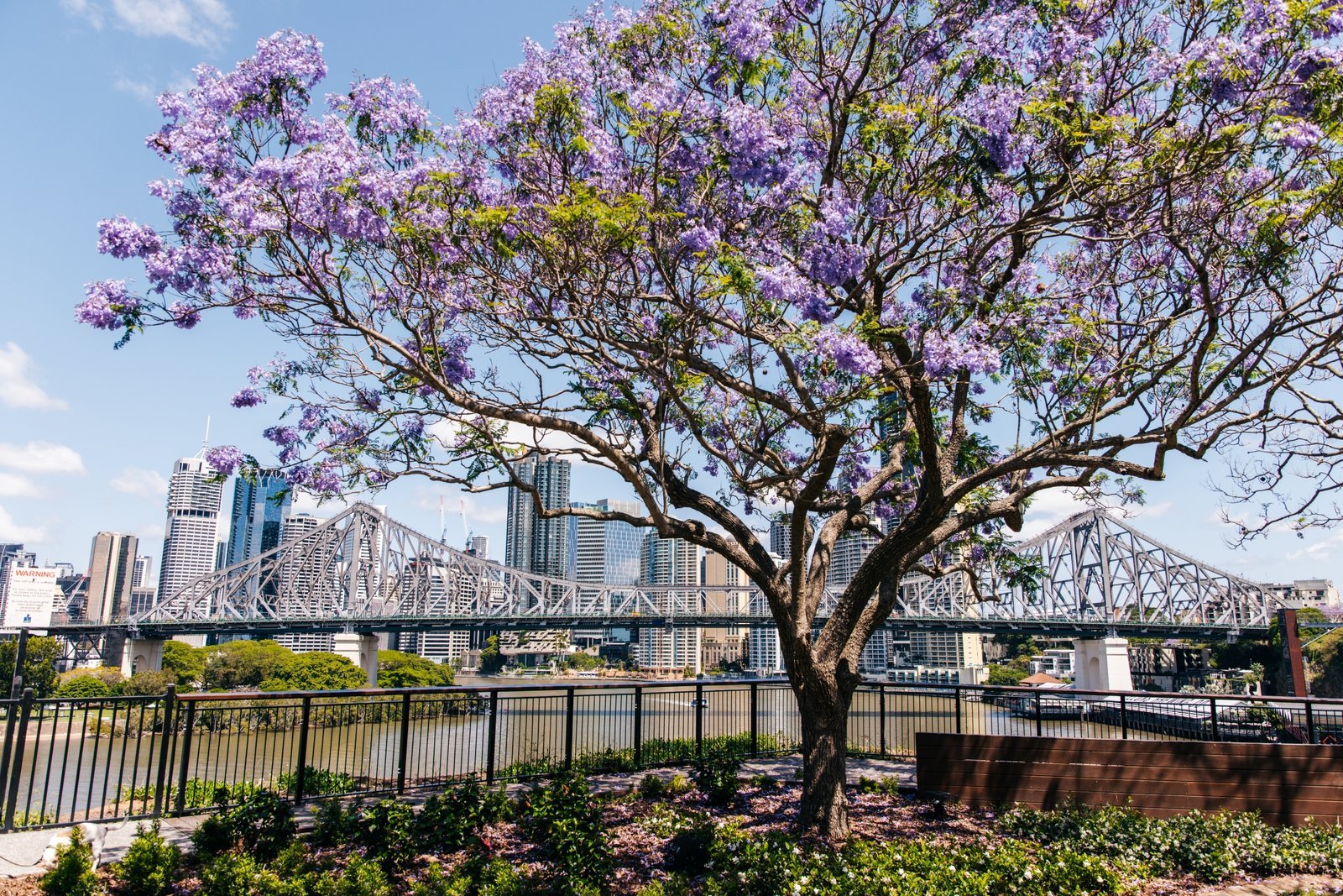 Brisbane_New_Farm_Wilson_Outlook