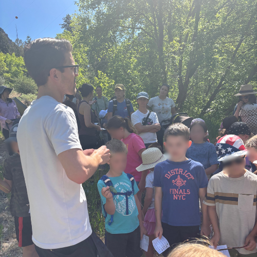 Junior Herbalist Course homeschool herbal academy class