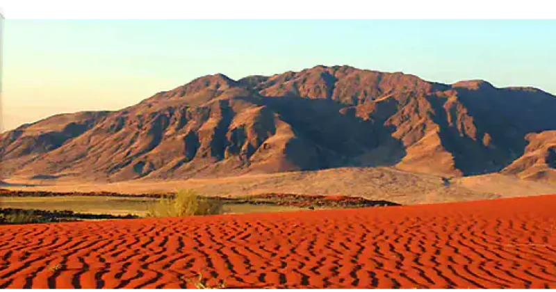 book-your-meeting-2-64a66f598e423 Namibia: Book Your Meeting With Honingcraft Today!