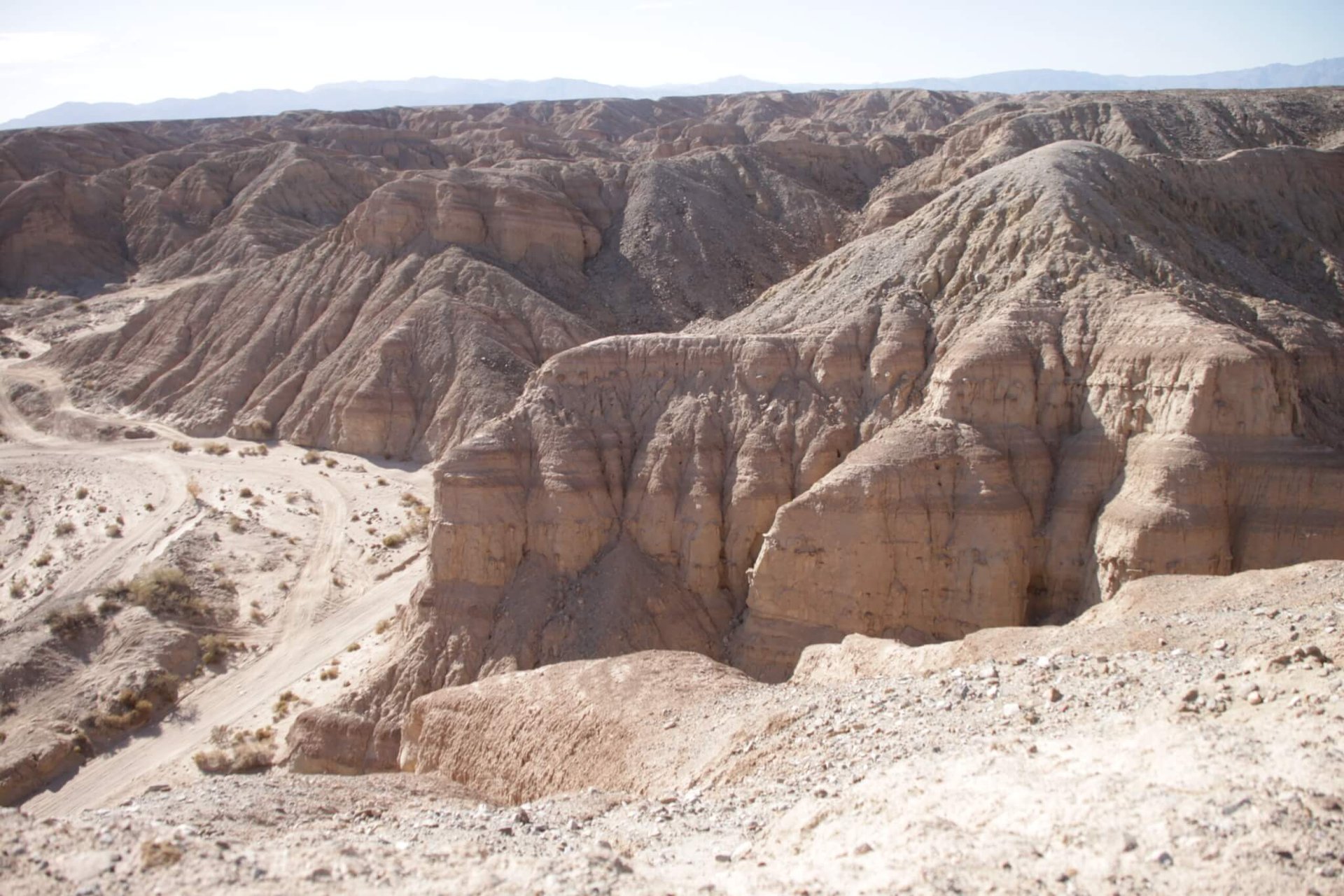 アンザボレゴ砂漠公園が織りなす自然の美しさとアクティビティの魅力 5 anza borrego
