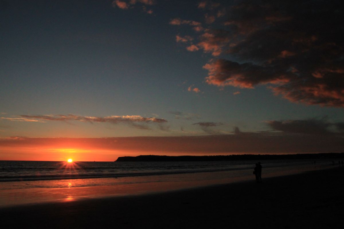 San Diego Access Attractions|サンディエゴ好き必見!アクセス手段と魅力ポイントに迫る 2 IMG 4031