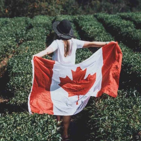 Express Entry Draw #319 Invites 648 PNP Candidates for Canadian Immigration- ImmigCanada Express Entry Draw #319