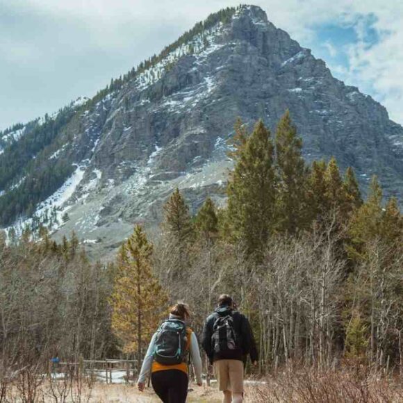 New Brunswick's Most Recent Invitation Round Welcomes 121 Express Entry Candidates- ImmigCanada New Brunswick Provincial Nominee Program draw