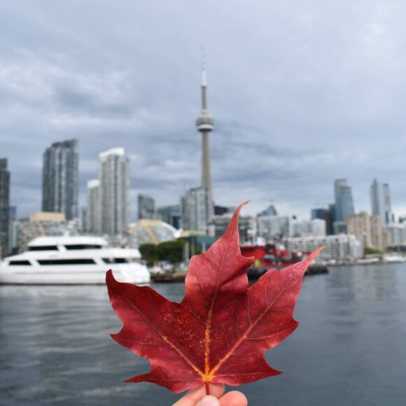 Canada’s Immigration Backlog Canada’s Immigration Backlog