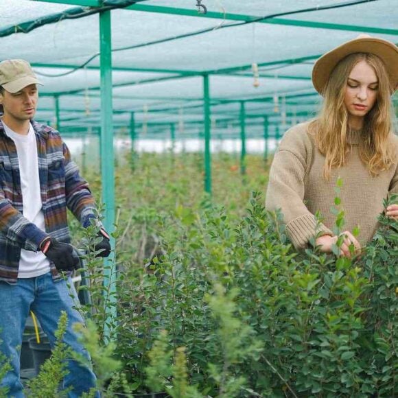 IRCC Releases Fourth Express Entry Draw of the Week and Issues 400 Invitations- ImmigCanada Fourth Express Entry Draw of the Week