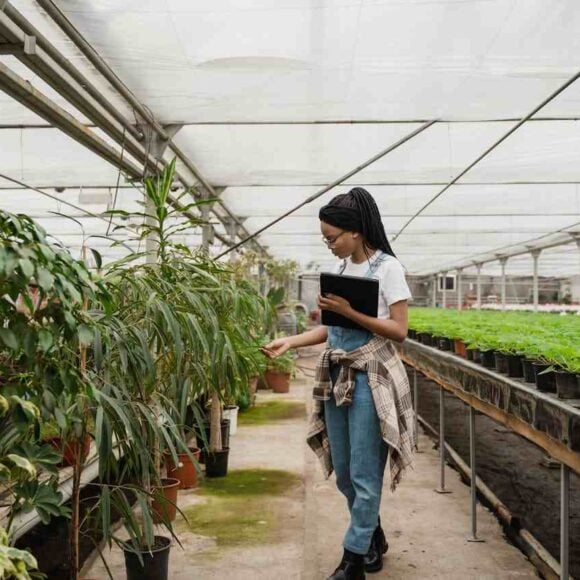 IRCC Invites 150 Candidates in the Latest Express Entry Draw- ImmigCanada Latest Express Entry Draw