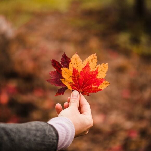 Portrait of the Arab Populations in Canada - Growth, Diversity and Community Strength- ImmigCanada Arab Populations in Canada