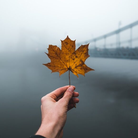 Canada PNP Updates Canada PNP Updates