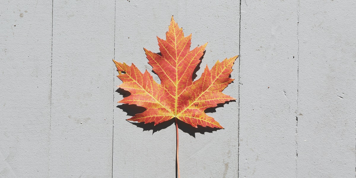 Pandemic Wrecked your Canada Dream Here’s How Canada’s Provinces are Likely to Recover Canada immigration