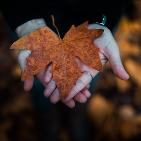 Significant Investments in Local Performing Arts in Canada A Boost for Community Spirit- ImmigCanada Local Performing Arts in Canada