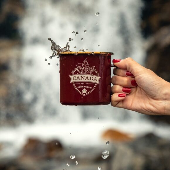 No Need for FOMO—Canada Likely to Conduct More Monster Express Entry Draws in 2021 Canada immigration: Express Entry