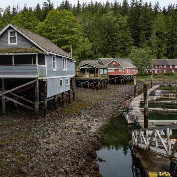 British Columbia and Prince Edward Island Issued Invitations in Latest PNP Draws Latest PNP Draws