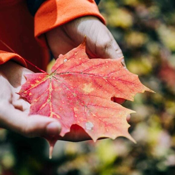 Yukon Nominee Program Introduces New Expression of Interest System for 2025- ImmigCanada Yukon Nominee Program