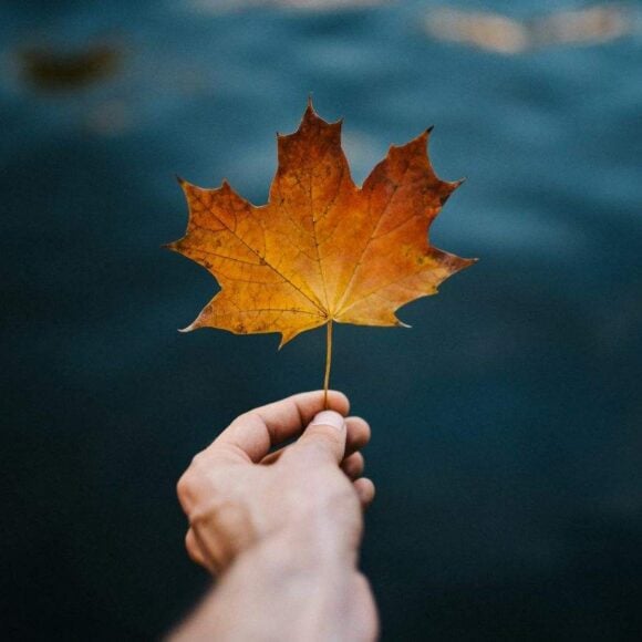 IRCC Extends CUAET Measures for Ukrainians Amid Processing Delays- ImmigCanada CUAET Measures for Ukrainians