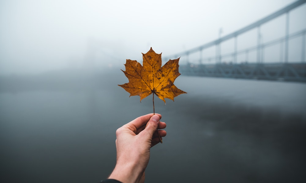 US Immigration Suspension—4 Reasons Why Canada’s the Best Offshoring Destination for US Employers US Immigration Suspension—4 Reasons Why Canada’s the Best Offshoring Destination for US Employers