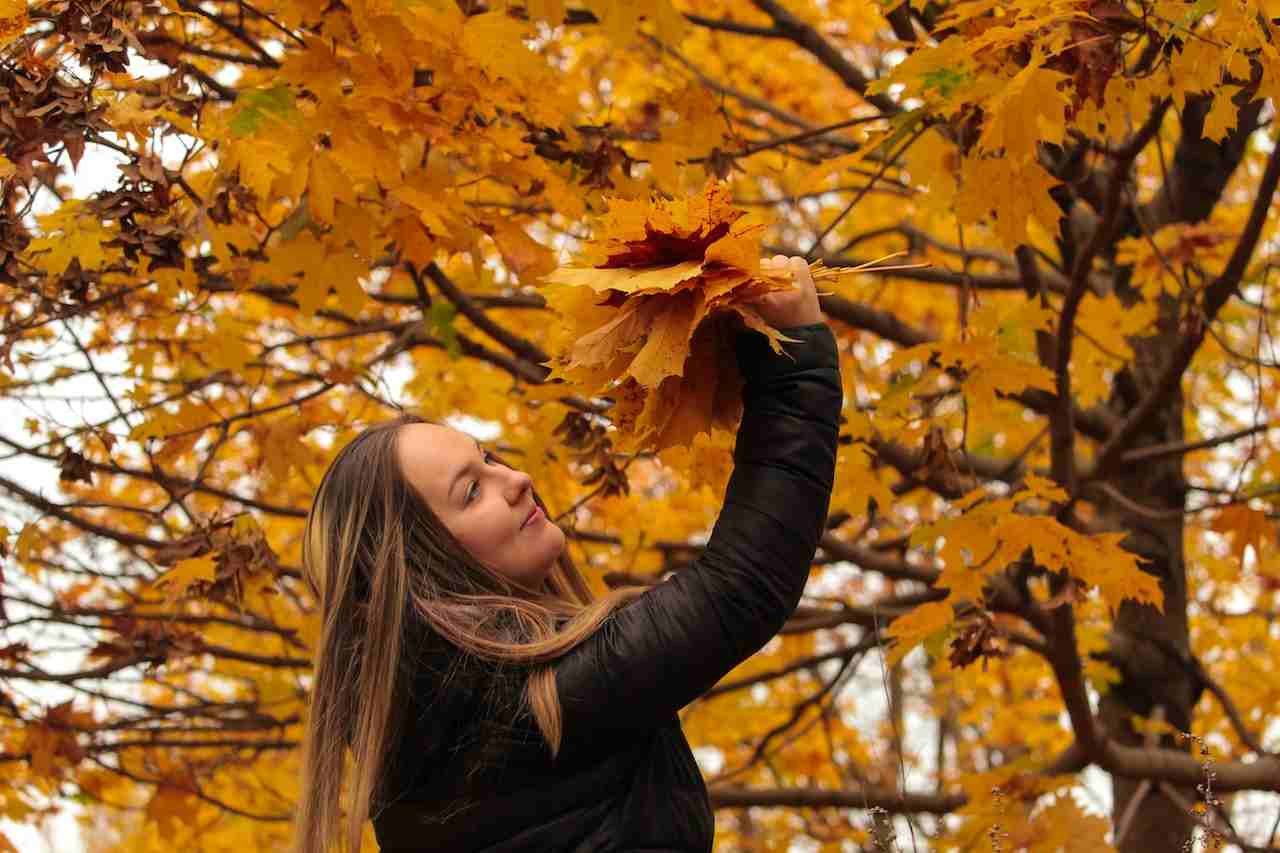 Manitoba Invited 623 Foreign Workers and Graduates- ImmigCanada Manitoba latest PNP Draw