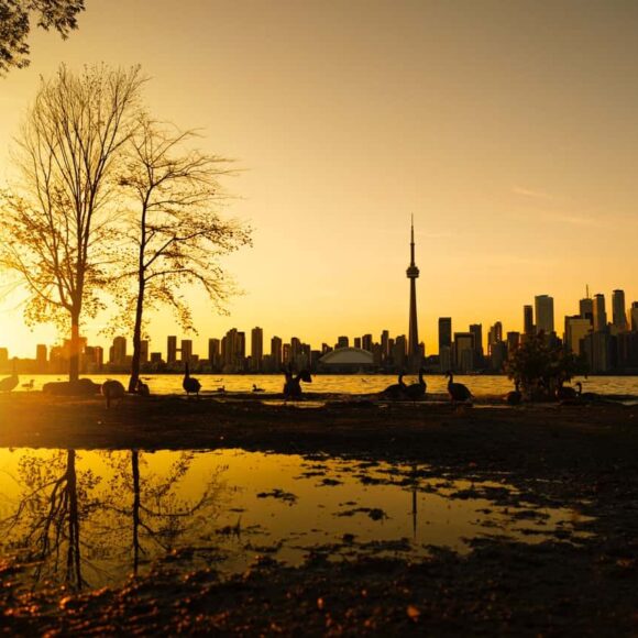 Ready for FSWP Draws in 2022 Boost Your FSWP Points for an Express Entry ITA in 2022 Ready for FSWP Draws in 2022 Boost Your FSWP Points for an Express Entry ITA in 2022