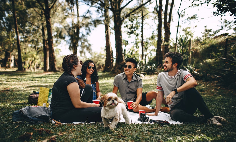 Canada Immigration Canada Super Visa Program