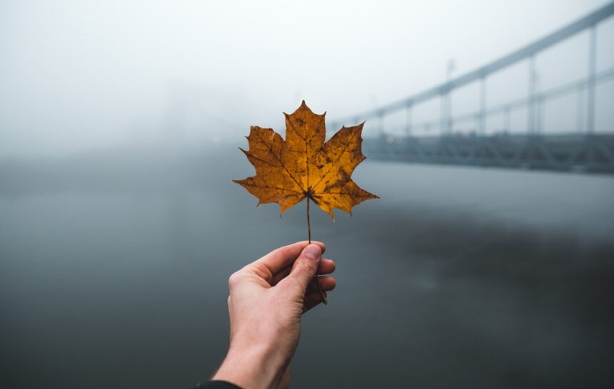 Canada PNP Updates Canada PNP Updates