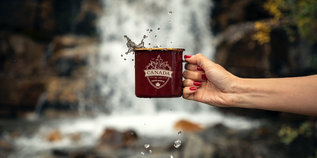 No Need for FOMO—Canada Likely to Conduct More Monster Express Entry Draws in 2021 Canada immigration: Express Entry