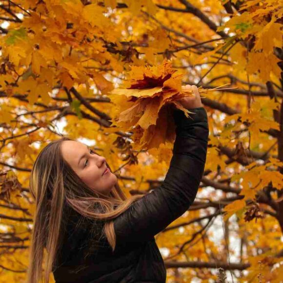 Manitoba Invited 623 Foreign Workers and Graduates- ImmigCanada Manitoba latest PNP Draw