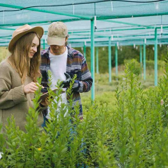 IRCC's Pioneering Category-Based Express Entry Draw for Agriculture and Agri-Food Occupations- ImmigCanada Express Entry Draw for Agriculture