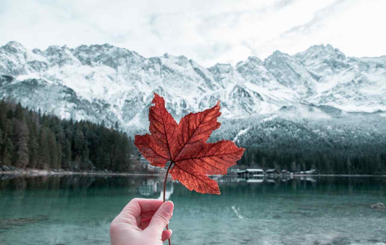 IRCC Invites 1,325 Candidates in Latest All-Program Express Entry Draw- ImmigCanada Latest All-Program Express Entry Draw