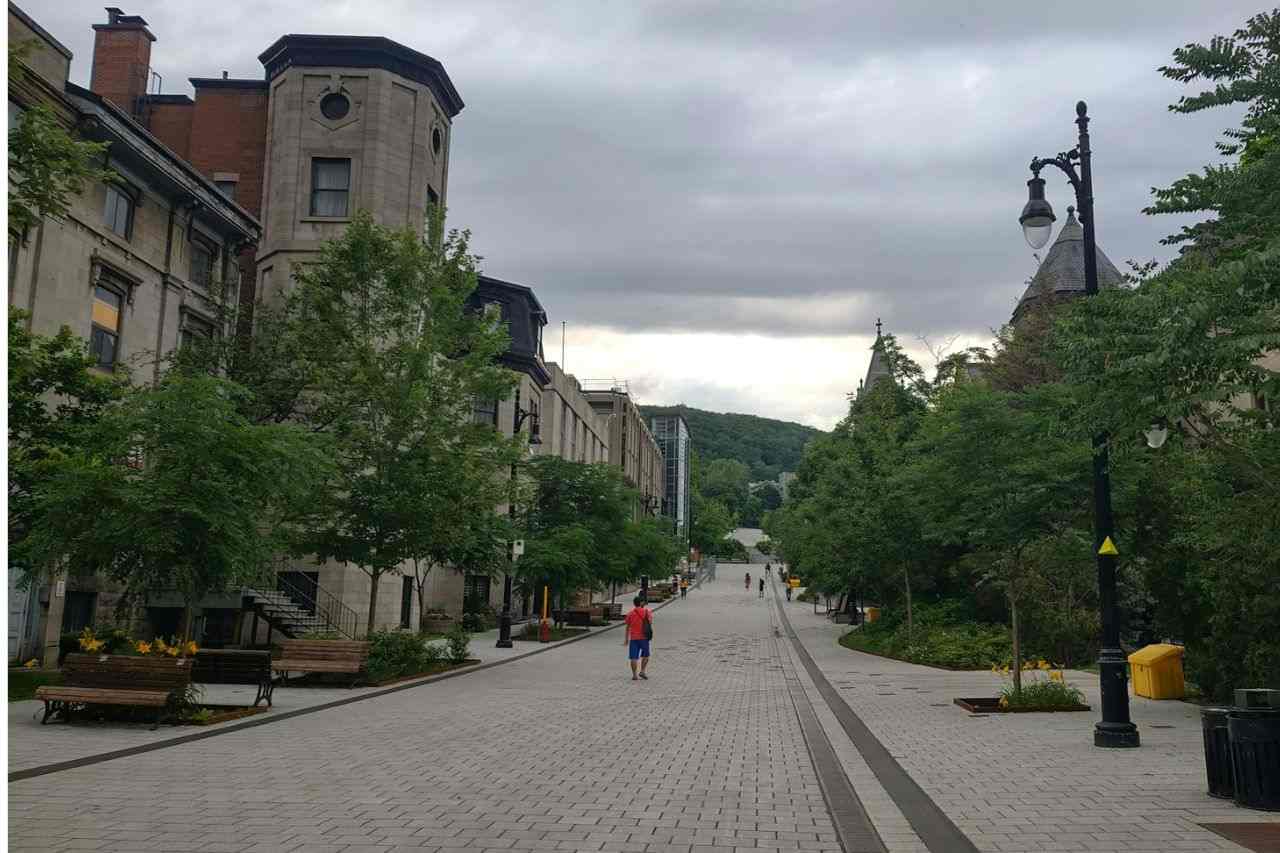 McGill University Challenges Quebec's Tuition Fee Hikes What You Need to Know- ImmigCanada McGill University