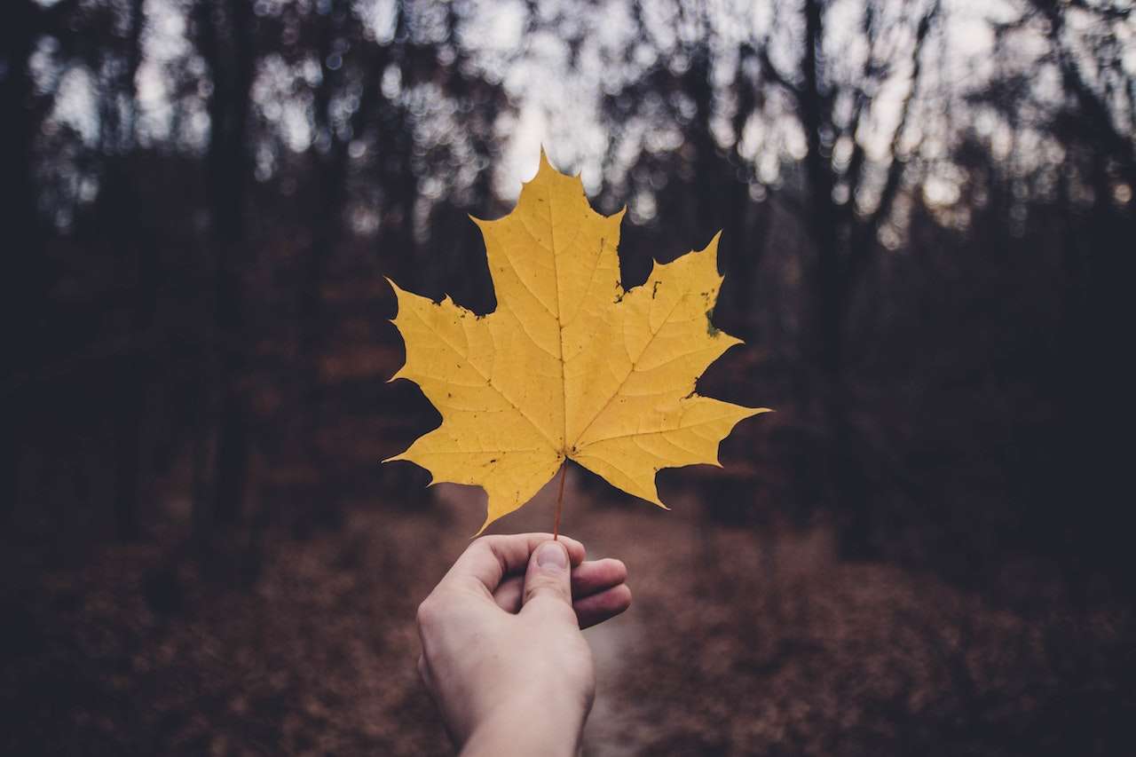 Strengthening Canada's Immigration System- ImmigCanada Strengthening Canada's Immigration System