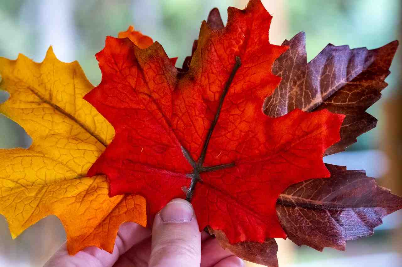 Canadian Immigration at a Crossroads- ImmigCanada Canadian Immigration
