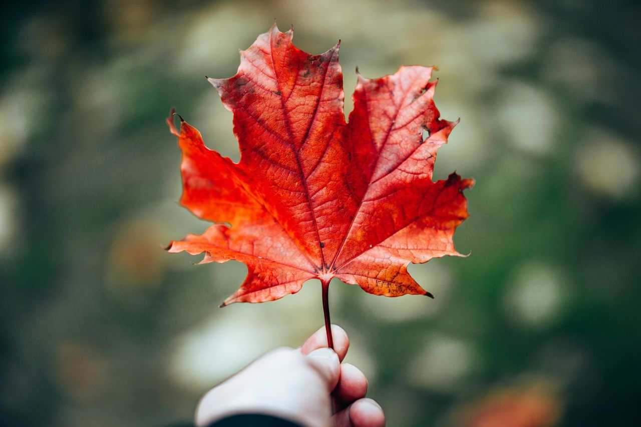 Express Entry Draw #372 IRCC Issued 345 PR Invitations on October 14, 2025- ImmigCanada Express Entry Draw #372