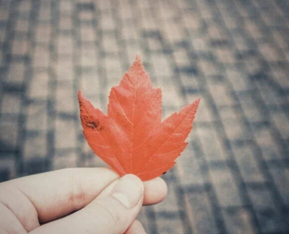 Quebec Immigrant Retention Reaches Historic High and Overtakes Ontario- ImmigCanada Quebec Immigrant Retention