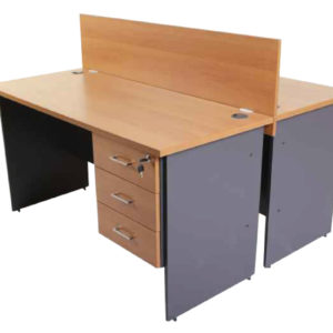 Elegant-Series-Workstation