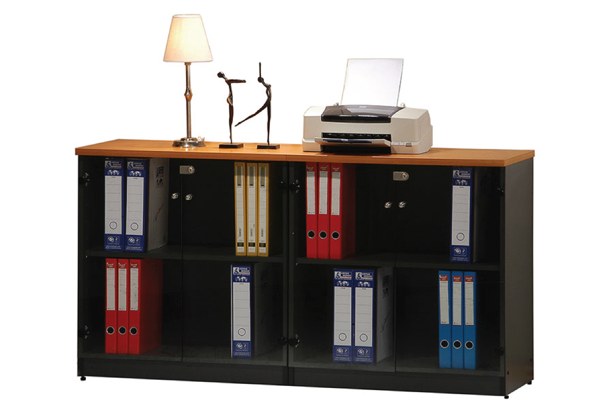 Low-Cabinet-With-Glass-Doors