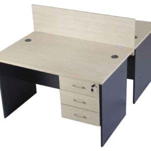 Elegant-Series-2-Way-Workstation-II