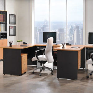 Elegant-Series-Workstation