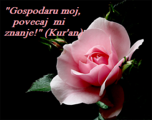 znanje i šerijat